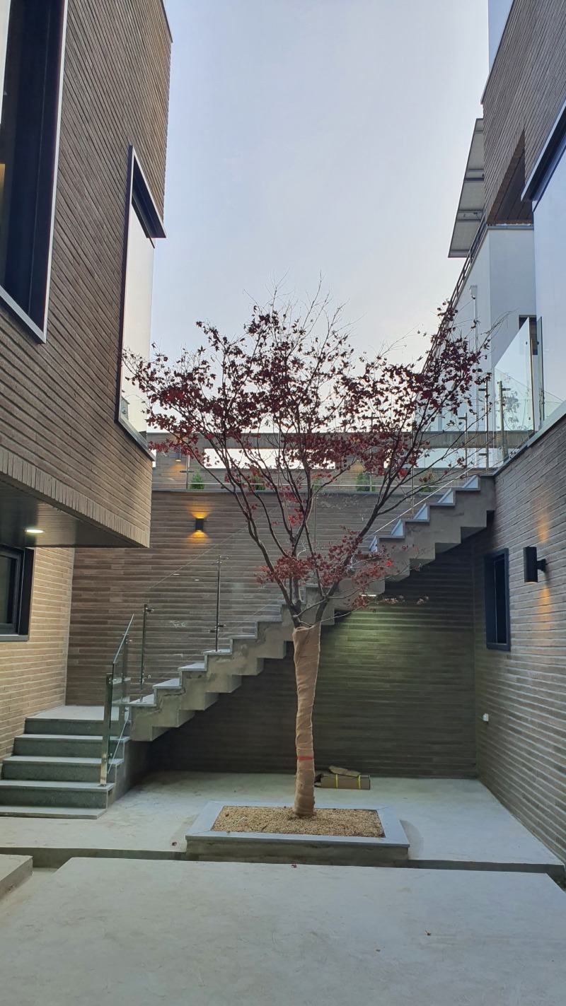 20201113_161304.jpg
