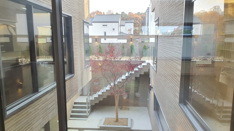 20201113_155809.jpg