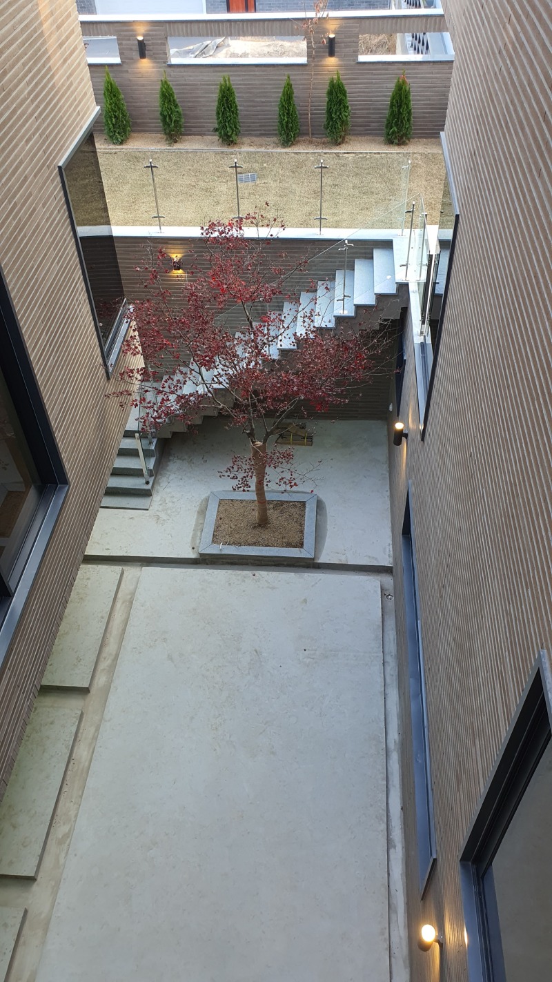 20201113_160347.jpg